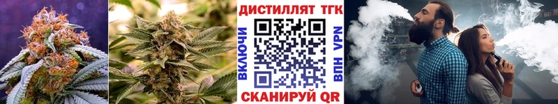 ТГК вейп  blacksprut вход  Старый Оскол  купить  цена 