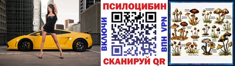 Псилоцибиновые грибы прущие грибы  blacksprut ссылки  Старый Оскол 